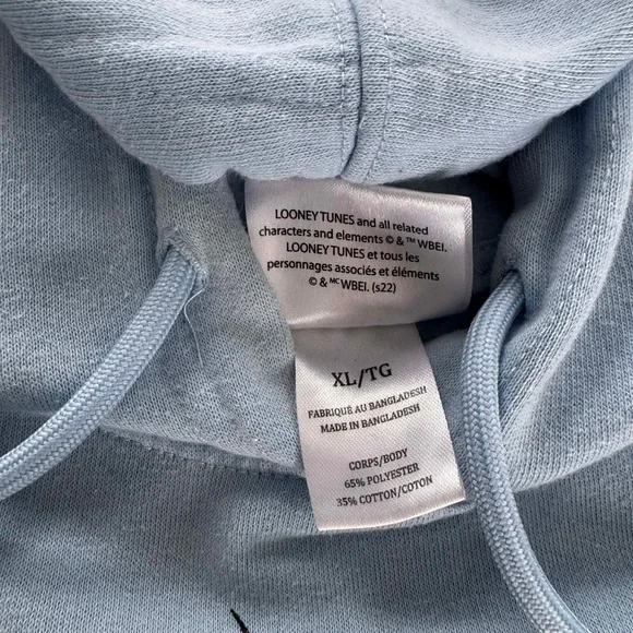 Looney Tunes Tweety Bird Light Blue Graphic Hoodie XL Warner Bros Cozy Relaxed - Picture 5 of 5